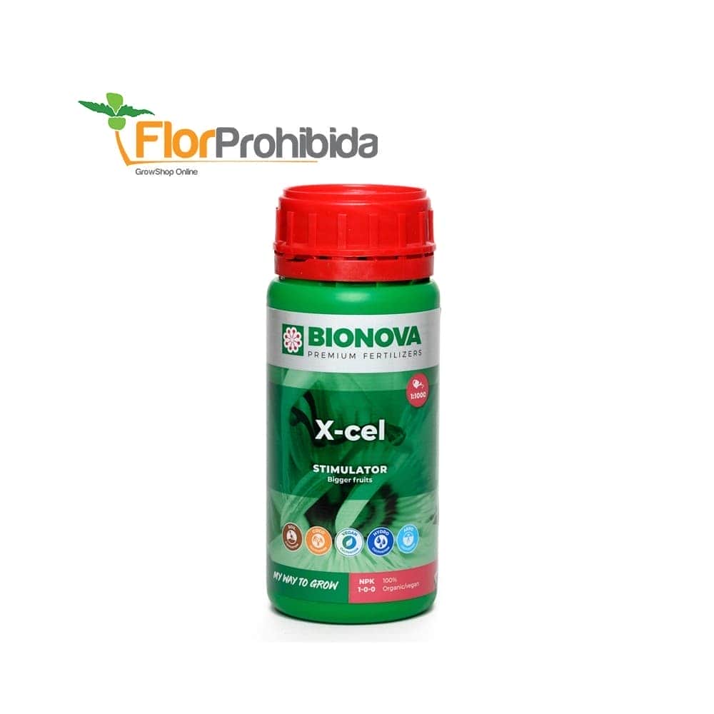 BN X-CEL (Bionova)