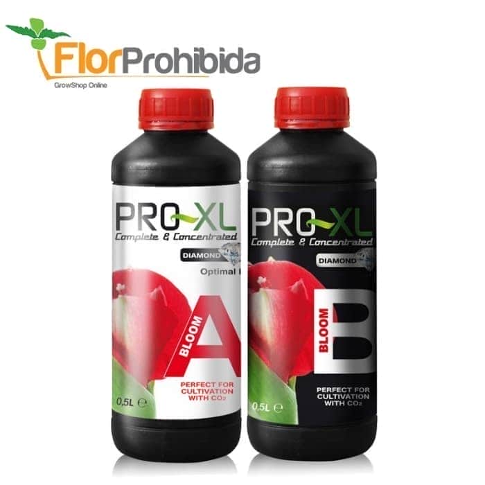 Bloom A+B Pro-XL, envase de 500ml.