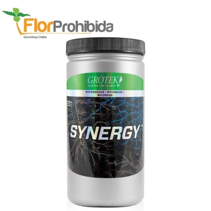 Synergy (Grotek Organic) envase de 800g.