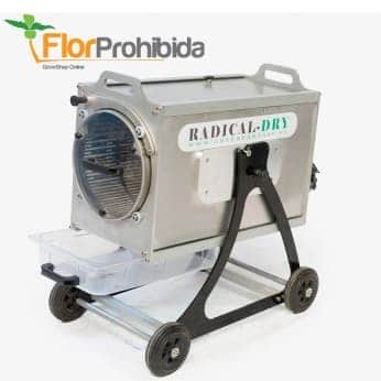 PELADORA RADICAL DRY (SECO)