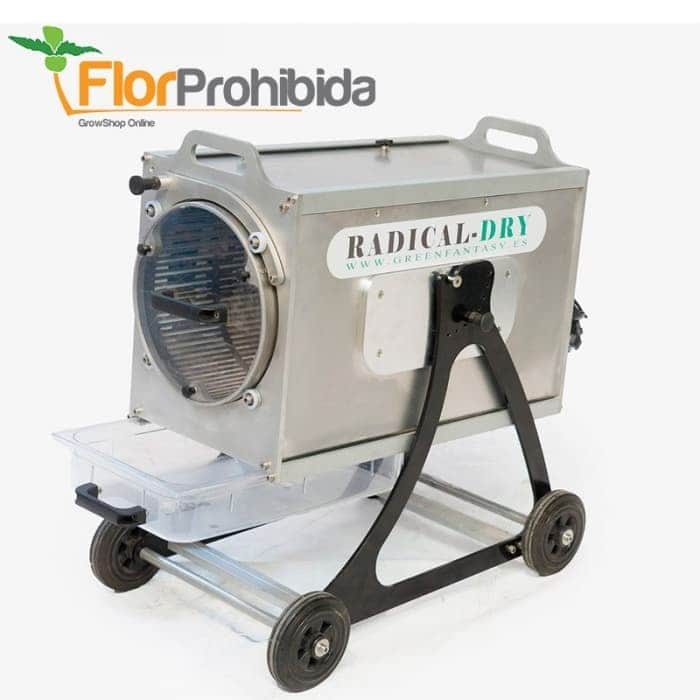 PELADORA RADICAL DRY (SECO)