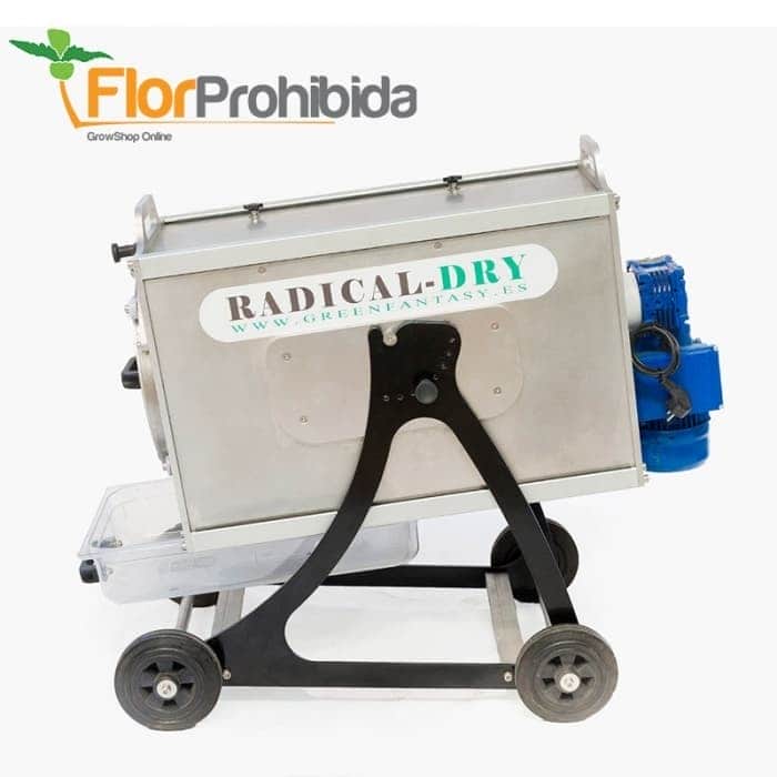 PELADORA RADICAL DRY (SECO)