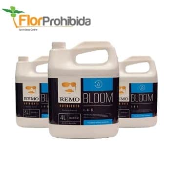 BLOOM REMO