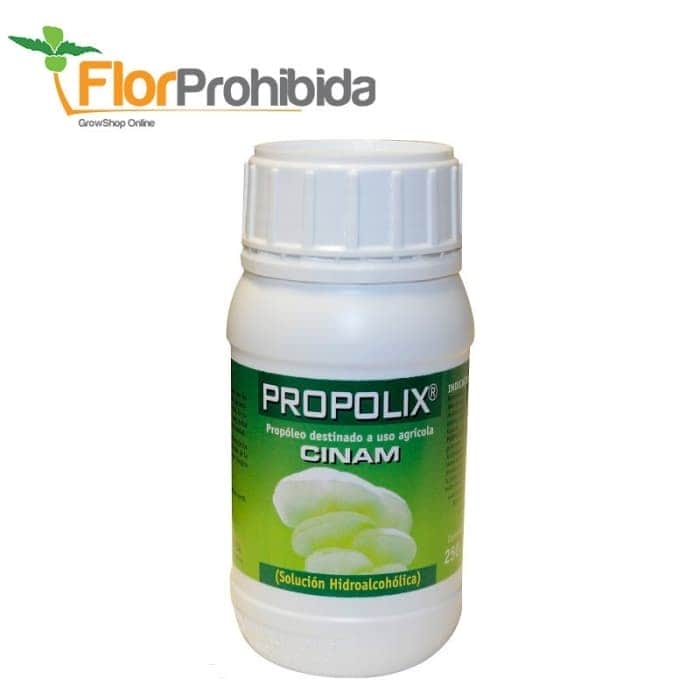 PROPOLIX CINAM (Trabe)