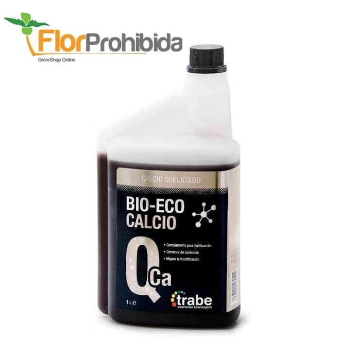 BIO-ECO CALCIO (Trabe)