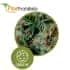 Jack Ultra CBD de Élite Seeds - Semillas marihuana medicinal.