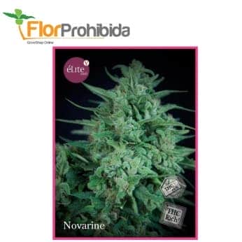 NOVARINE CLASICA THCV