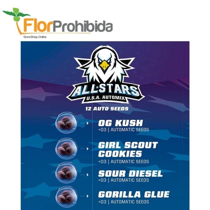 AUTOMIX ALL STARS USA (Bsf Seeds)