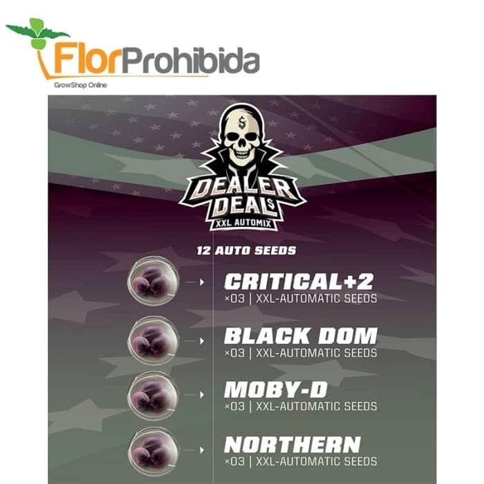 AUTOMIX DEALER DEAL XXL (Bsf Seeds)