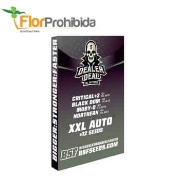 AUTOMIX DEALER DEAL XXL (Bsf Seeds)