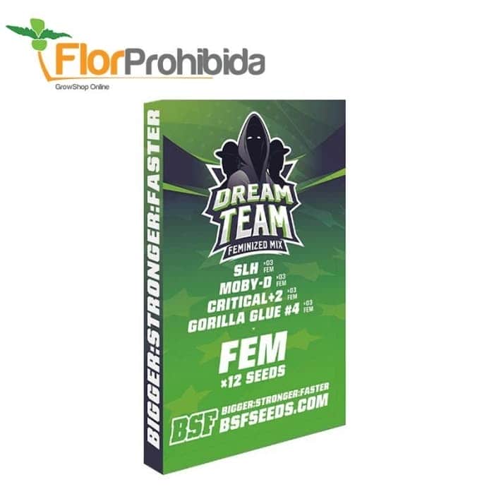 DREAM TEAM FEMINIZED MIX (Bsf Seeds)