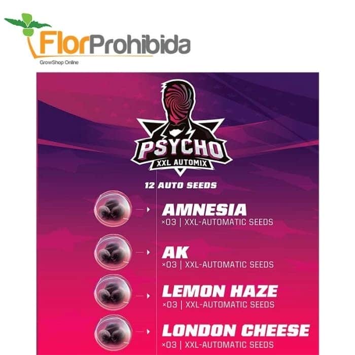 AUTOMIX PSYCHO XXL (Bsf Seeds)