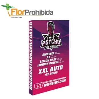 AUTOMIX PSYCHO XXL (Bsf Seeds)