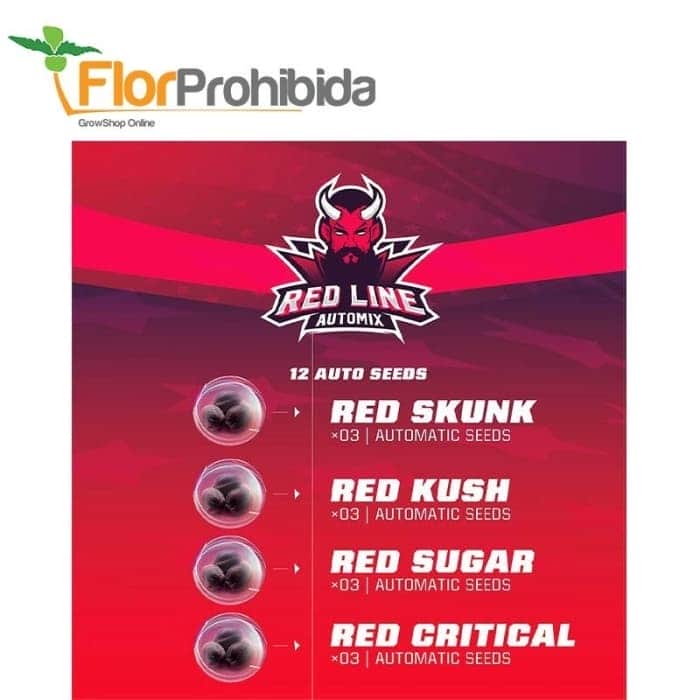 AUTOMIX RED LINE (Bsf Seeds)