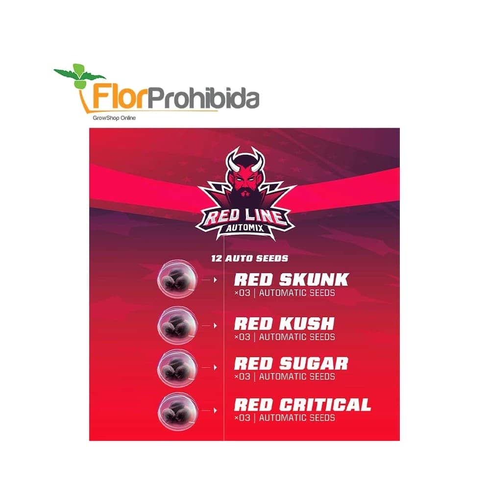 AUTOMIX RED LINE (Bsf Seeds)