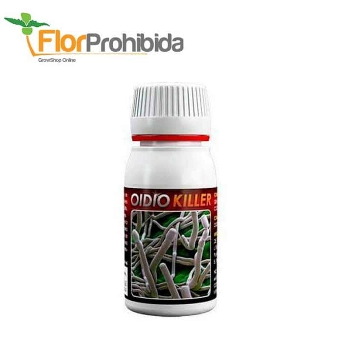 OIDIO KILLER (Agrobacterias)