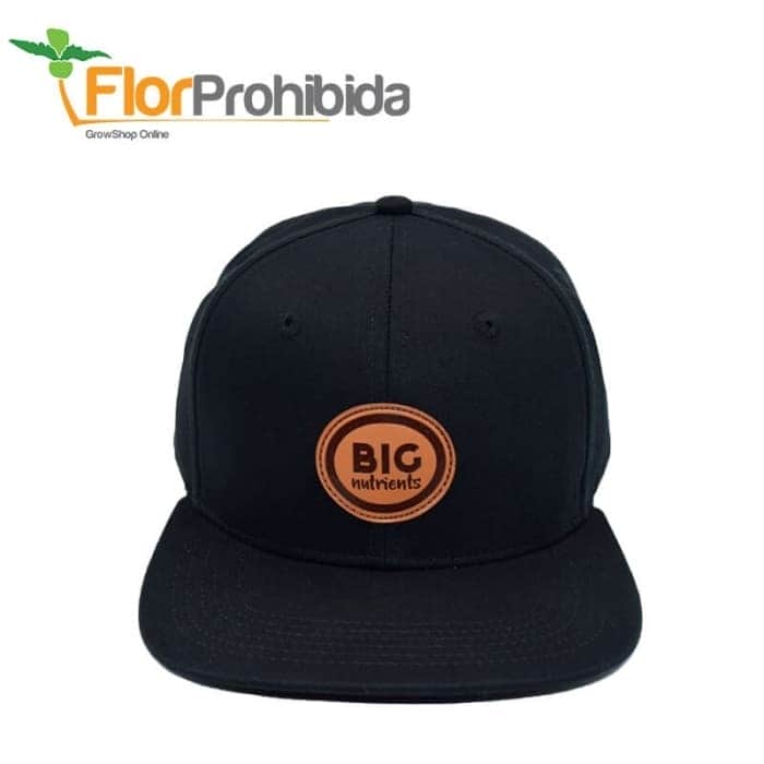 REGALO: GORRA BIG NUTRIENTS