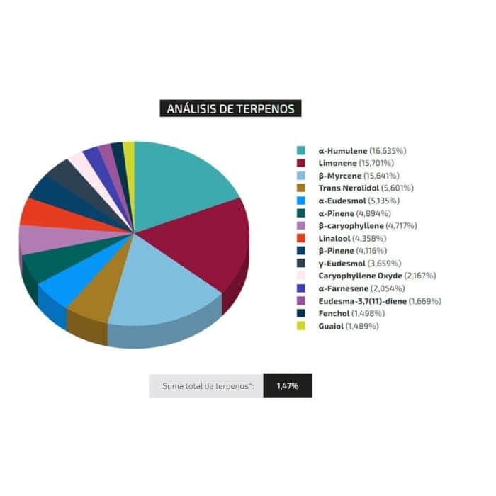 PERFIL DE TERPENOS DE CRITICAL+ 20 (Silent Seeds)