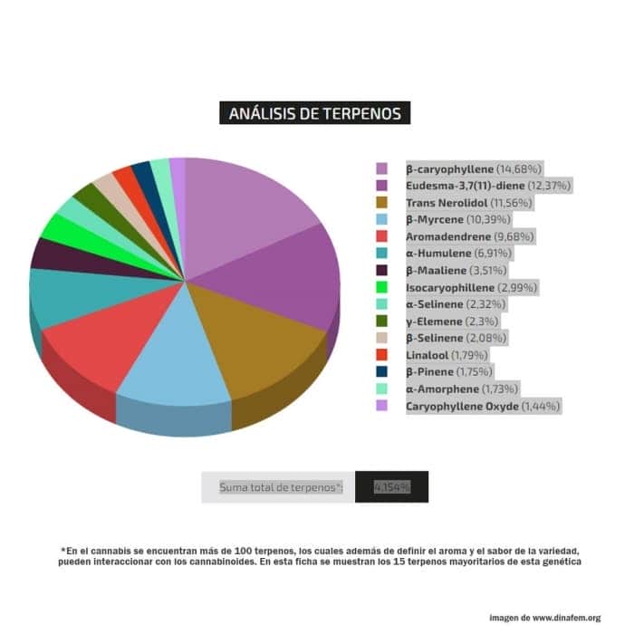 Perfil de terpenos de OG KUSH de Silent Seeds