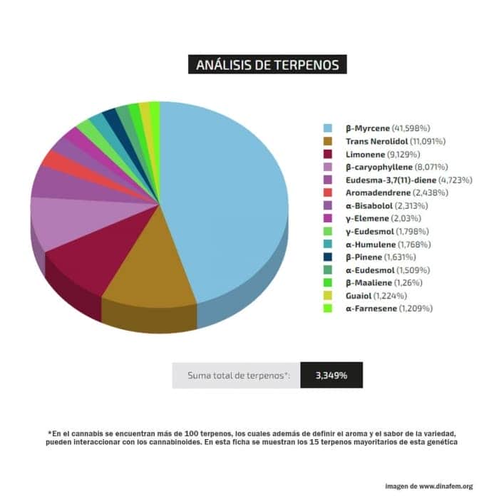 Perfil de terpenos de WHITE WIDOW (Silent Seeds)