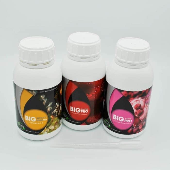 KIT + SABOR (Big Organic)