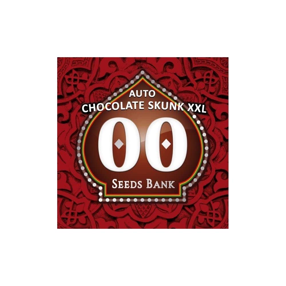 AUTO CHOCOLATE SKUNK XXL (00 Seeds)