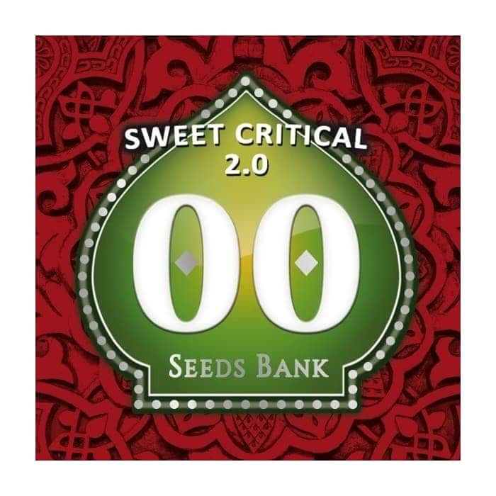 SWEET CRITICAL 2.0 (00 Seeds)