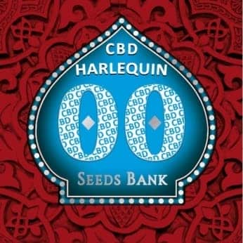 HARLEQUIN CBD (00 Seeds)