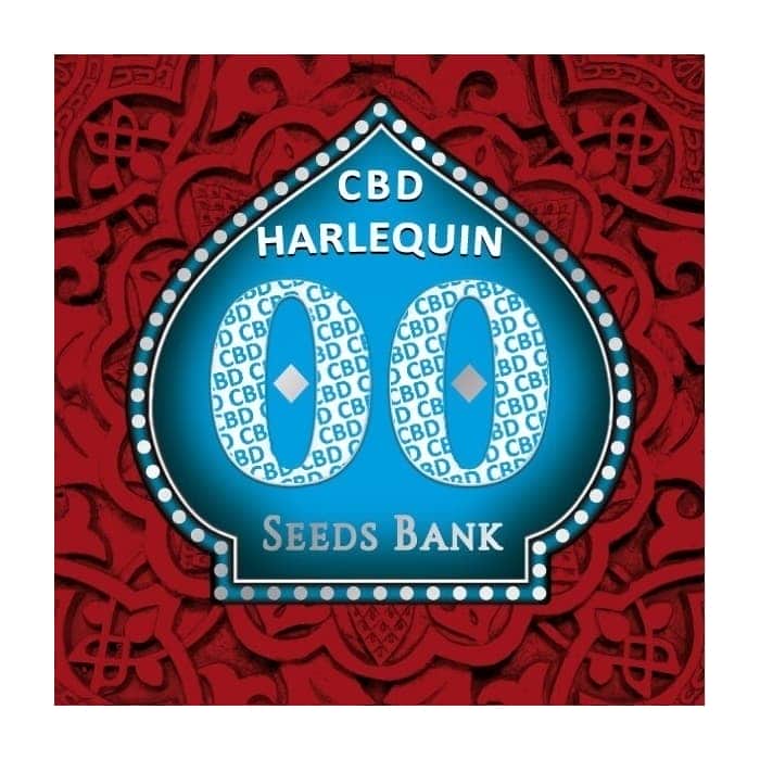 HARLEQUIN CBD (00 Seeds)