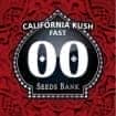 CALIFORNIA KUSH FAST (00 Seeds)