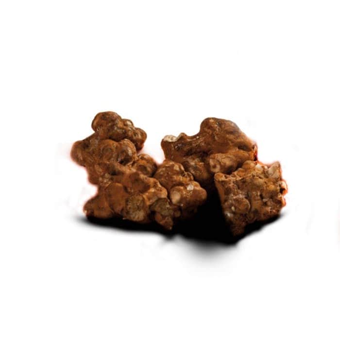 TRUFAS MÁGICAS MEXICANAS 15g. Trufa mágica mexicana en fresco.