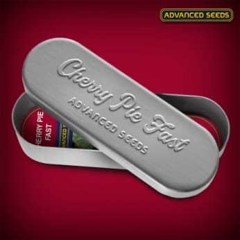 CHERRY PIE FAST (Advanced Seeds) semillas de marihuana feminizadas fast version