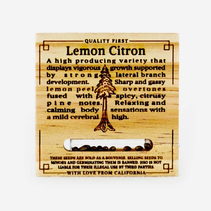 LEMON CITRON (Humboldt Seeds) Semillas de marihuana.