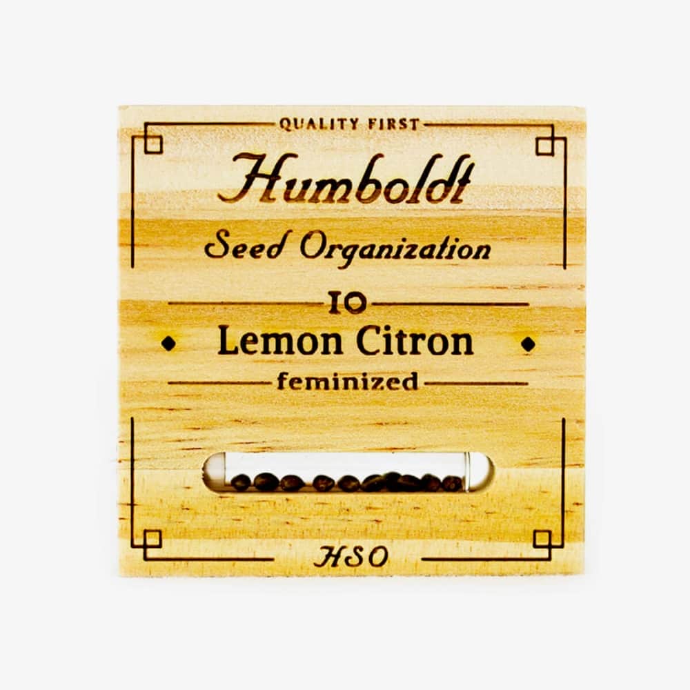LEMON CITRON (Humboldt Seeds) Semillas de marihuana.