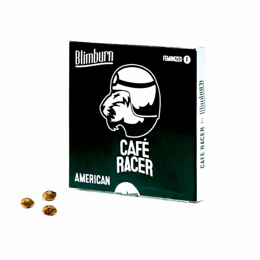 Paquete de semillas de CAFE RACER (Blimburn Seeds) Semillas de marihuana feminizadas
