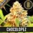 CHOCOLOPEZ (Blimburn Seeds) Semillas de marihuana feminizadas de colección.