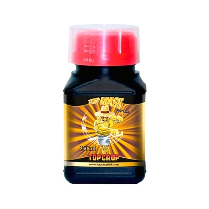 TOP MASS