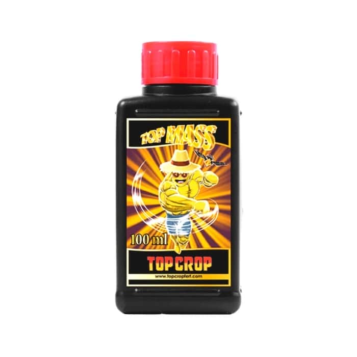 TOP MASS