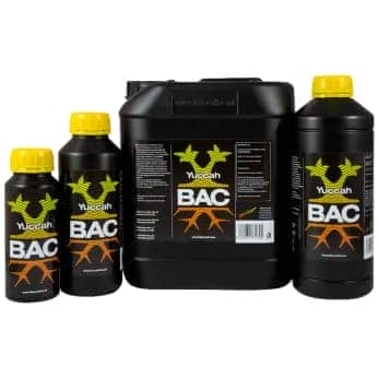 YUCCAH (B.A.C.) Todos los Envases.