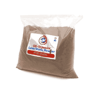 Lava Worm Powder Guanokalong
