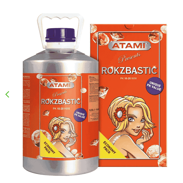 ROKZBASTIC ATAMI