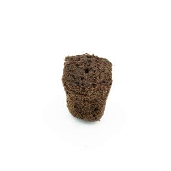 Semilleros Biodegradables8x8 cm. Pack 36 Semilleros Para Siembra /  Germinacion De Plantas – Suministros Ainer