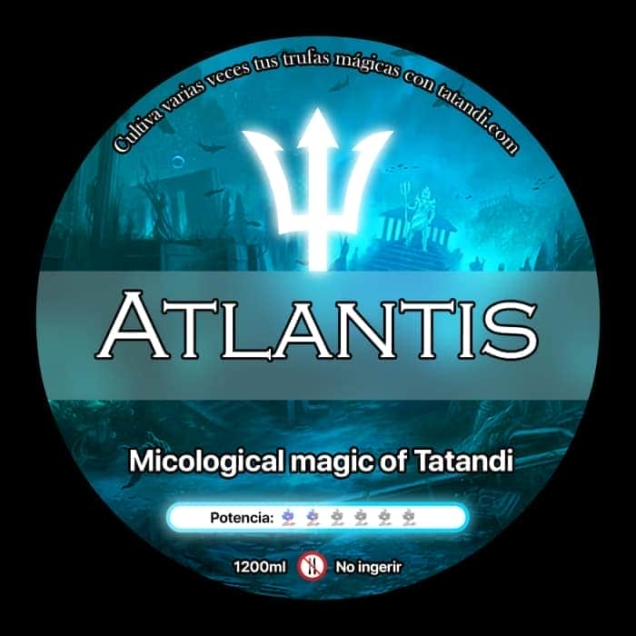 Trufas alucinógenas atlantis