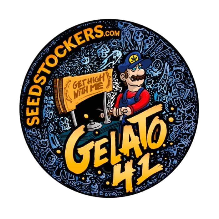 AUTO GELATO 41 (Seedstockers) Semillas de marihuana autoflorecientes de colección, logo.