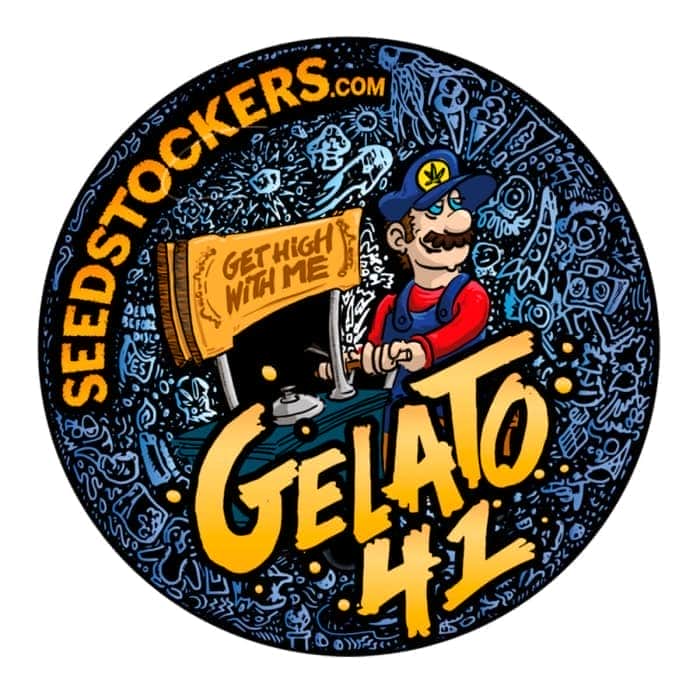 GELATO 41 (Seedstockers) Semillas de marihuana feminizadas de colección, logo.