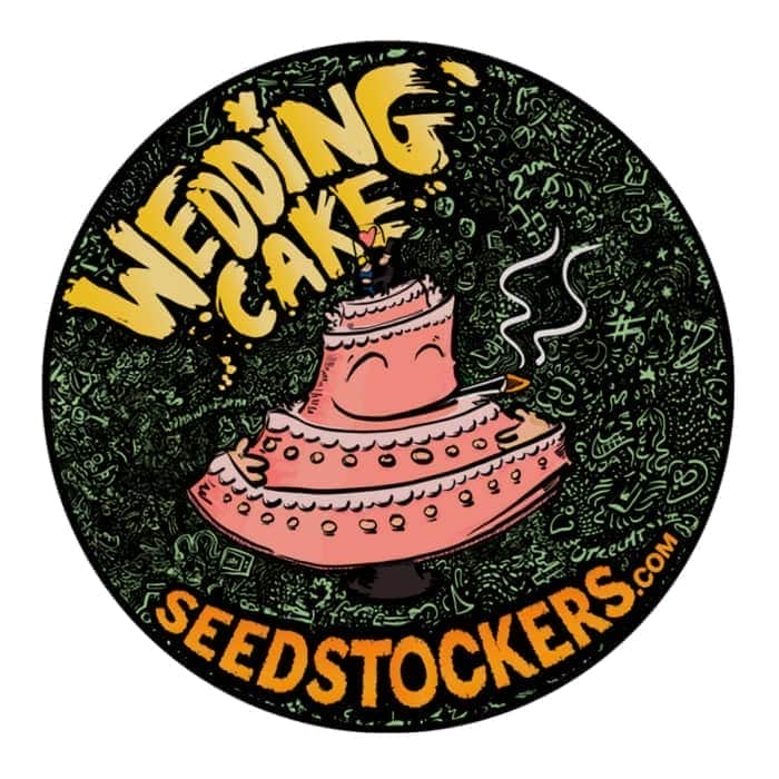 WEDDING CAKE (Seedstockers) Semillas de marihuana feminizadas de colección, logo.