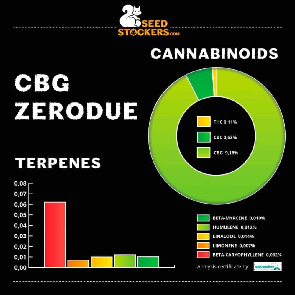 ZERO DUE CBG (Seedstockers) tabla
