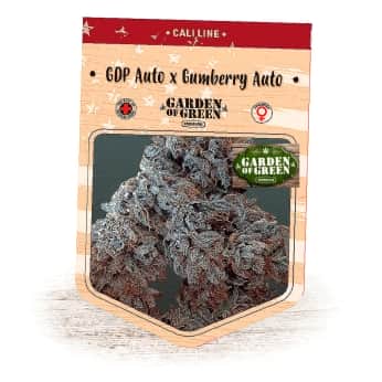 AUTO GUMBERRIES GDP (Garden Of Green Seeds) Semillas de marihuana feminizadas autoflorecientes.