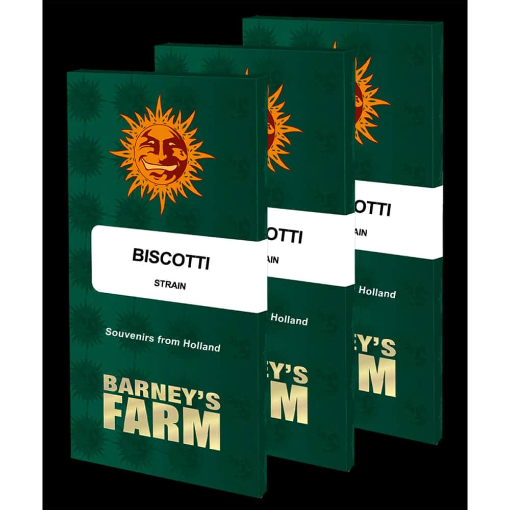 BISCOTTI (Barney's Farm Seeds) Semillas de marihuana feminizadas, blister.