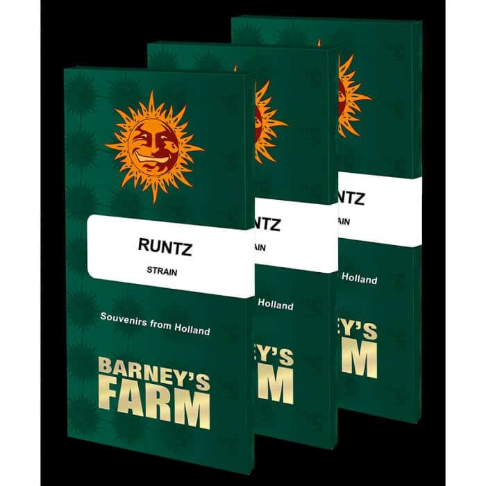 RUNTZ (Barney's Farm Seeds) Semillas de marihuana feminizadas, blister.